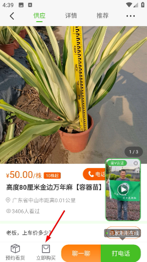 苗木通