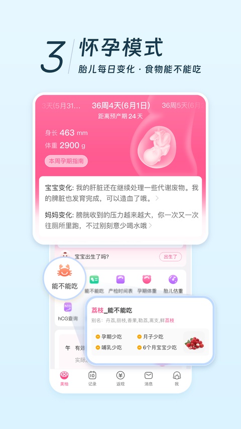 美柚月经