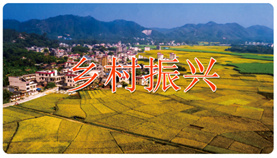 兴业融媒