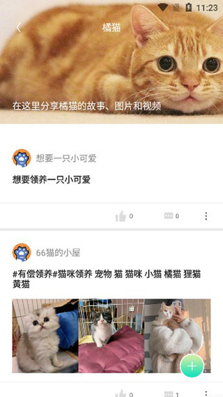 握爪宠物