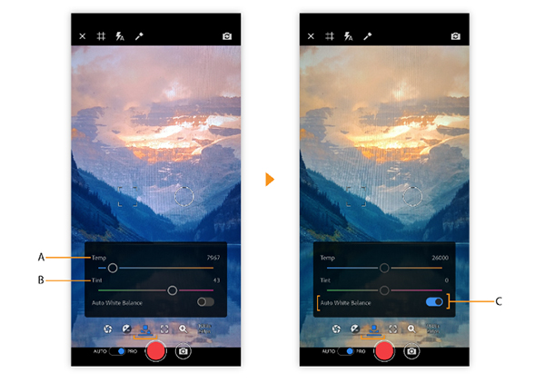 Adobe Project Rush