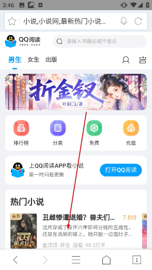 猎豹浏览器