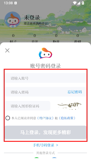 金彩云