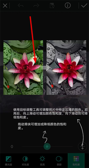 相片大师app下载最新版本安卓