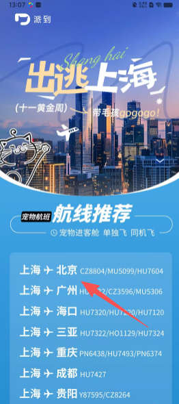 派到