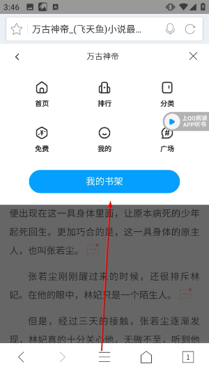 猎豹浏览器