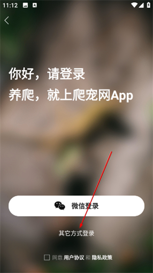 爬宠网