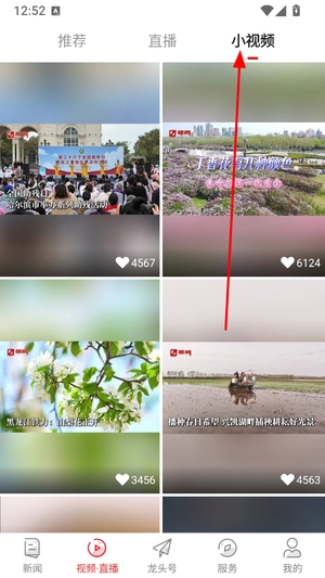 龙头新闻app免费下载