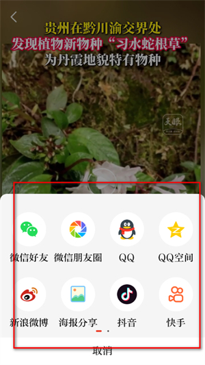 天眼新闻官网版