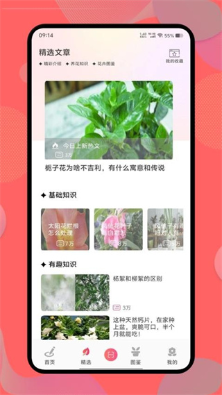 花社区