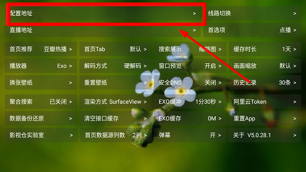 吾爱TV下载