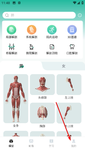 万康人体解剖