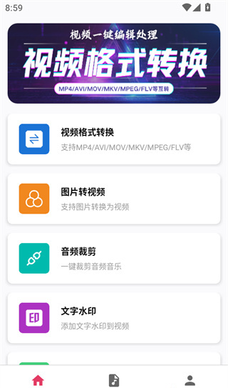 视频格式转换大师