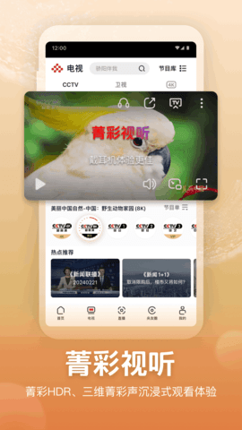 央视频app手机版