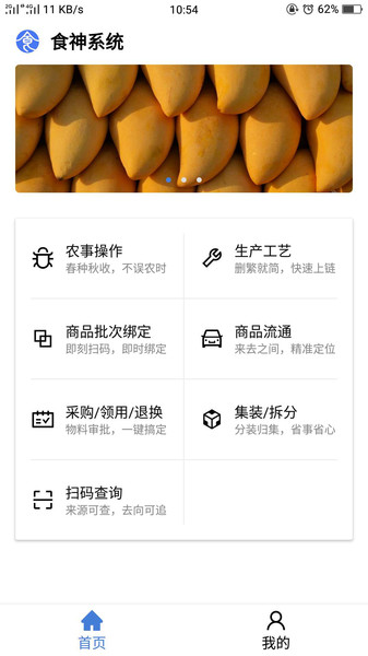 食神系统