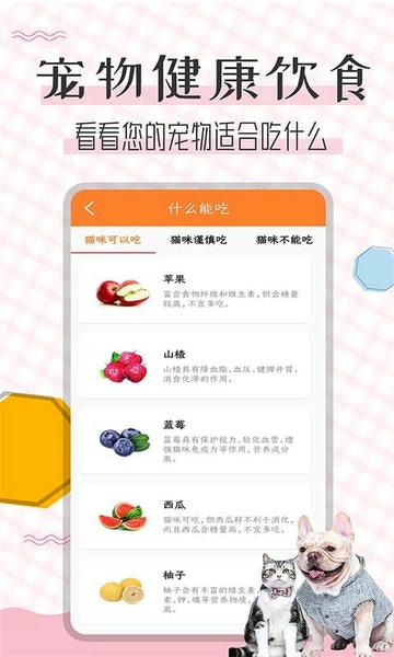 猫语翻译宝