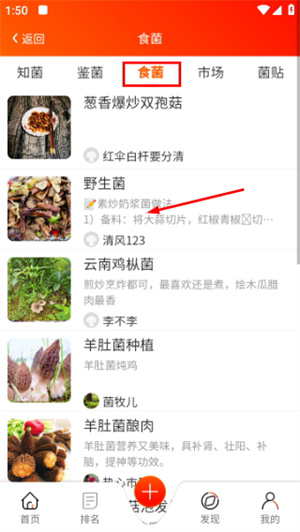 菌窝子