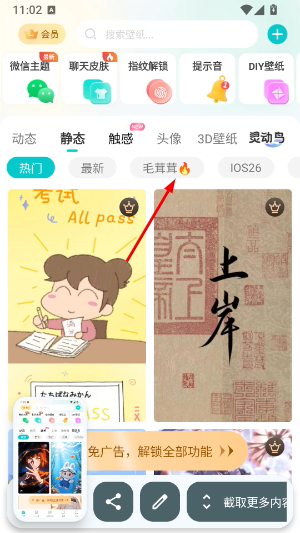 主题壁纸大全