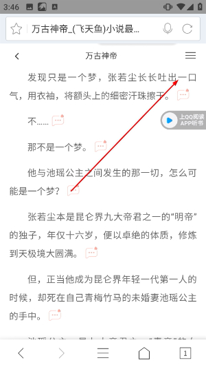 猎豹浏览器
