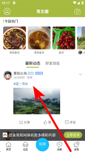 青阳网