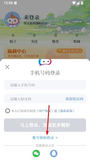 金彩云