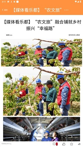 乐都融媒
