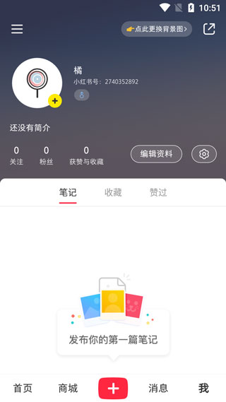 小红书简洁版