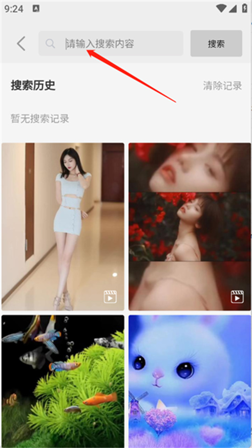 随心手机壁纸下载
