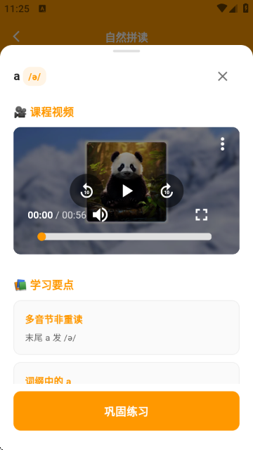 抗遗忘单词表app下载