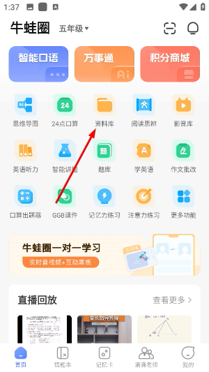 牛蛙圈