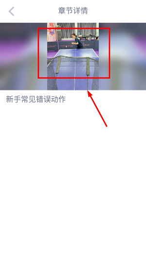 庞伯特乒乓