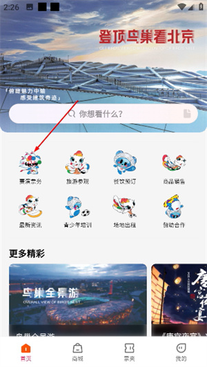 鸟巢