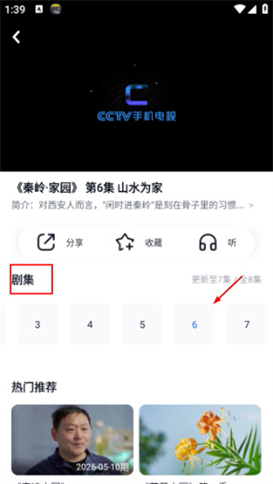 cctv手机电视