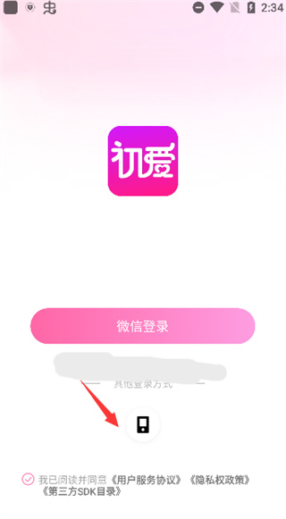 初爱