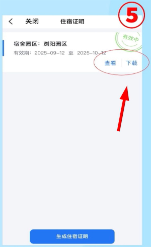 飞鸽互联下载安卓