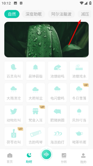 萤火虫睡眠