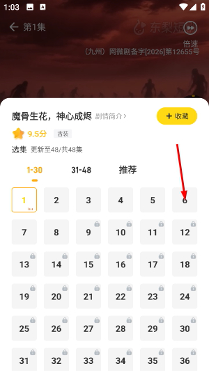 东梨短剧