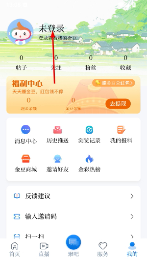 金彩云