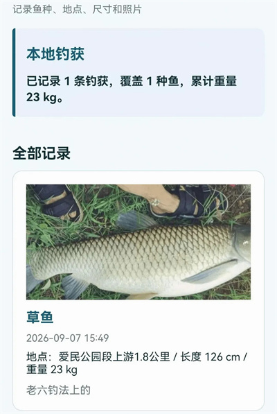 钓鱼天气情报指南