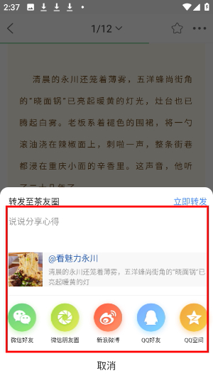 茶竹永川网