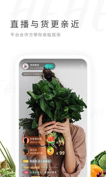 禾禾网