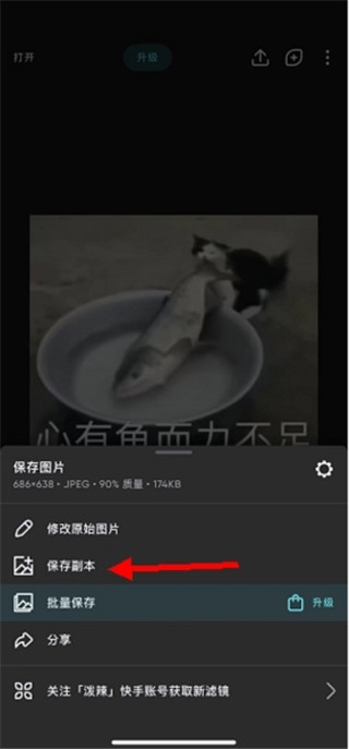 Polarr免费版下载