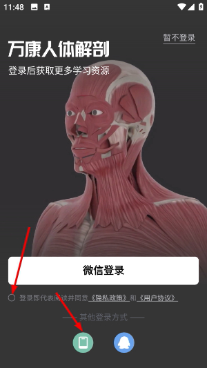 万康人体解剖