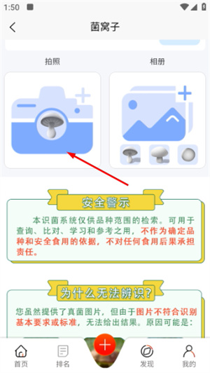 菌窝子