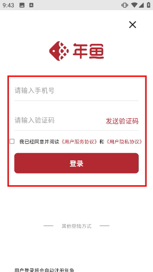 年鱼收藏