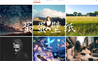 蛋蛋壁纸