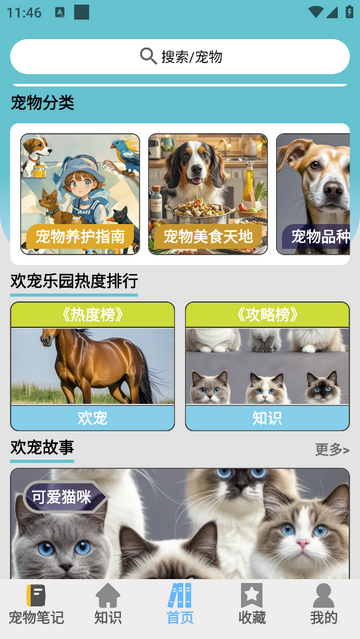欢宠乐园