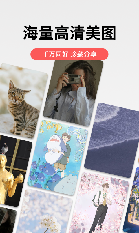 堆糖正版下载