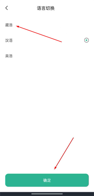 咚咚藏音