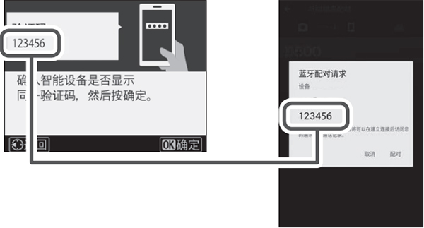 snapbridge